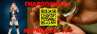стафф Заводоуковск