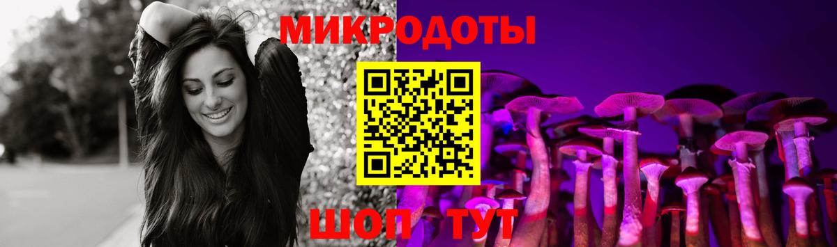 Владимир  Псилоцибиновые грибы прущие грибы  Вход с VPN 